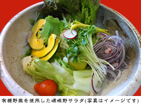 有機野菜を使用した嵯峨野サラダ